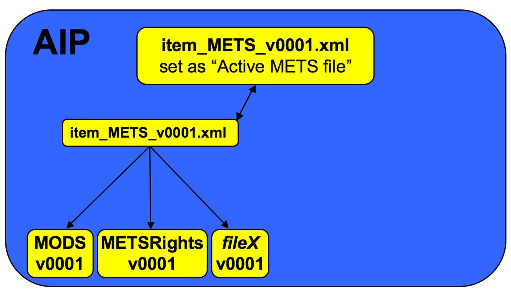 An AIP may contain multiple METS files that describe different digital object versions.