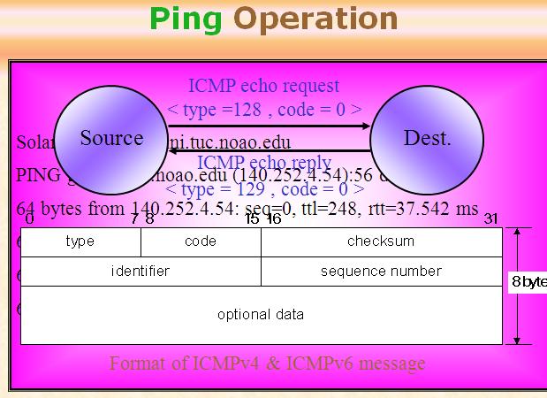 Ping Program Create a raw socket to send/receive ICMP echo request and echo reply packets Install SIGALRM handler to process output o Sending echo request packets every t second o Build ICMP packets