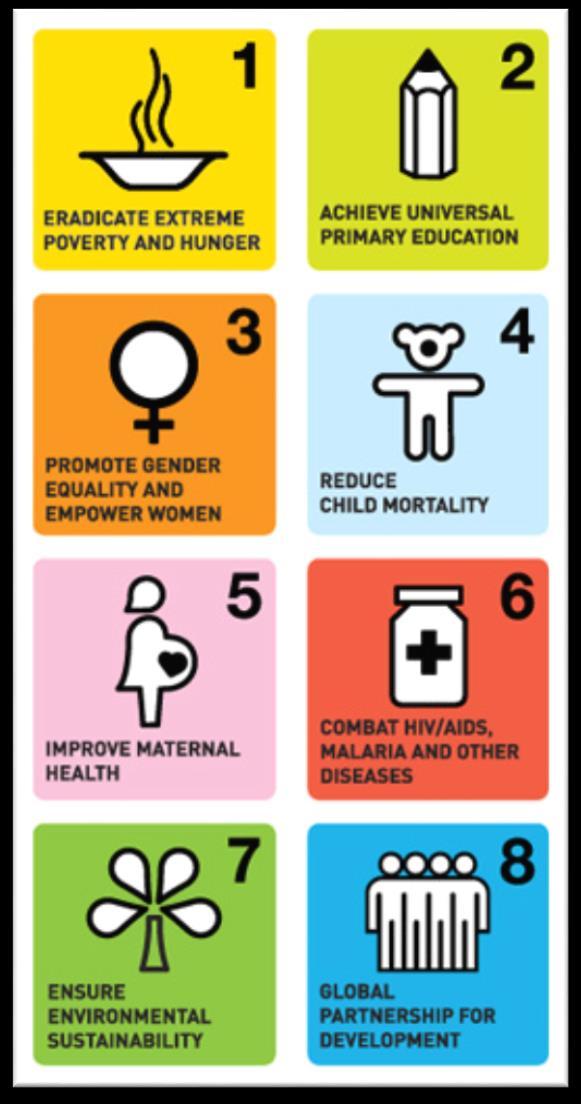 66 Millennium Development Goals and