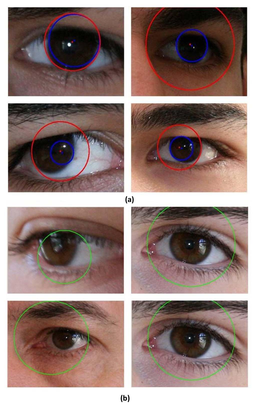 II. WHEN IRIS RECOGNITION FAILS In general, iris recognition is performed under near infrared environment. Researchers are now focusing on recognizing iris at a distance in visible wavelength.