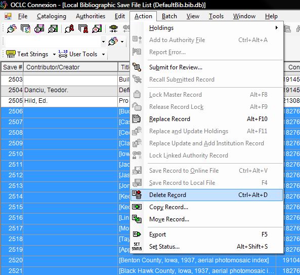 Delete Records in Save File Identifies you are in your local save file Delete