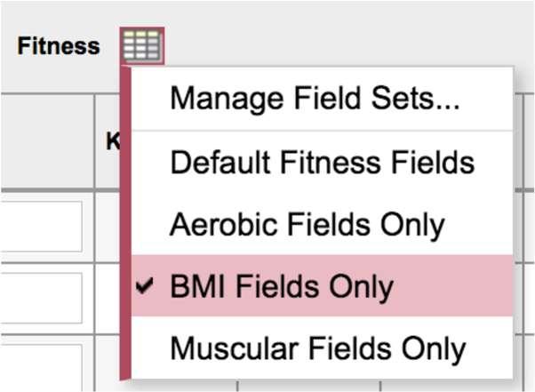 BMI Fields Only User can select the BMI Fields Only field set option.  BMI activity.