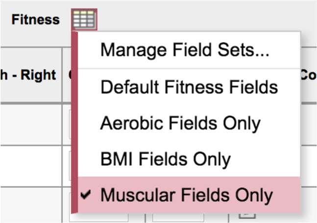 Muscular Fields Only User can select the Muscular Fields Only field set option.