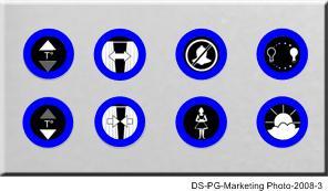 DS12 Product Guide Page 2 of 10 Figure 2 Custom Switch Plate with icons Figure 3 Unitary DS12 Switch Installation Requirements The DS12 itself (Figure 3) is a unitary switch; i.e., a free-standing assembly.
