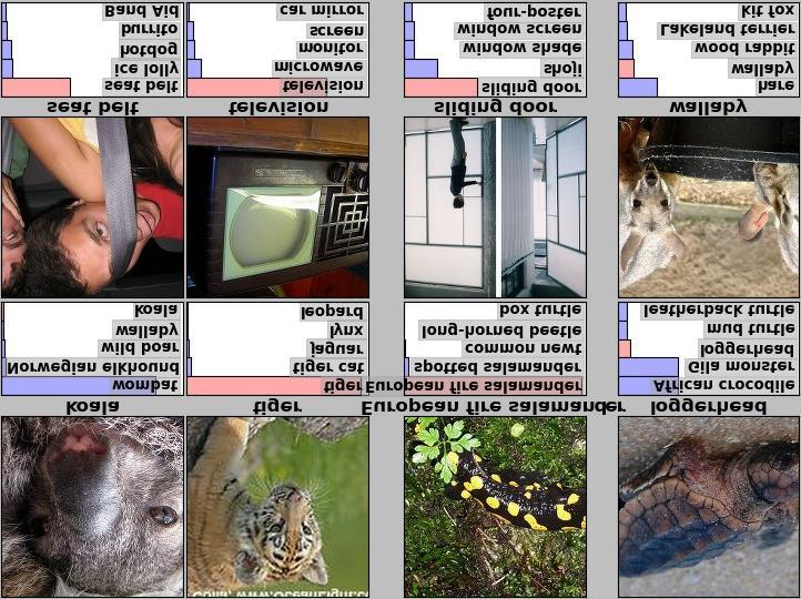 ImageNet Challenge 2012 Validation classification Validation classification Validation classification ~14 million labeled images, 20k classes Images gathered from Internet Human labels via Amazon