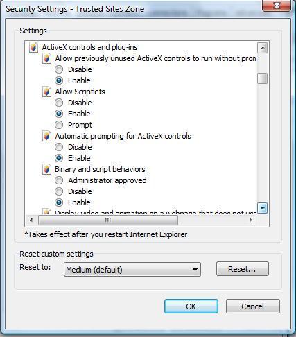 As you move your scroll tab down you will come to the ActiveX controls and plug-ins. 14.