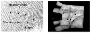 A Survey on Security in Palmprint Recognition: A Biometric Trait Dhaneshwar Prasad Dewangan 1, Abhishek Pandey 2 Abstract Biometric based authentication and recognition, the science of using physical