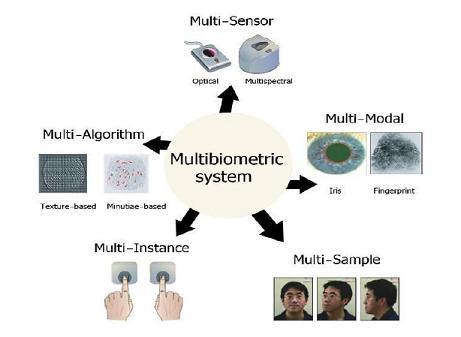 3. Multi-Instance Systems: Those systems which use multiple instances of a single biometric trait are known as multiple instance systems.