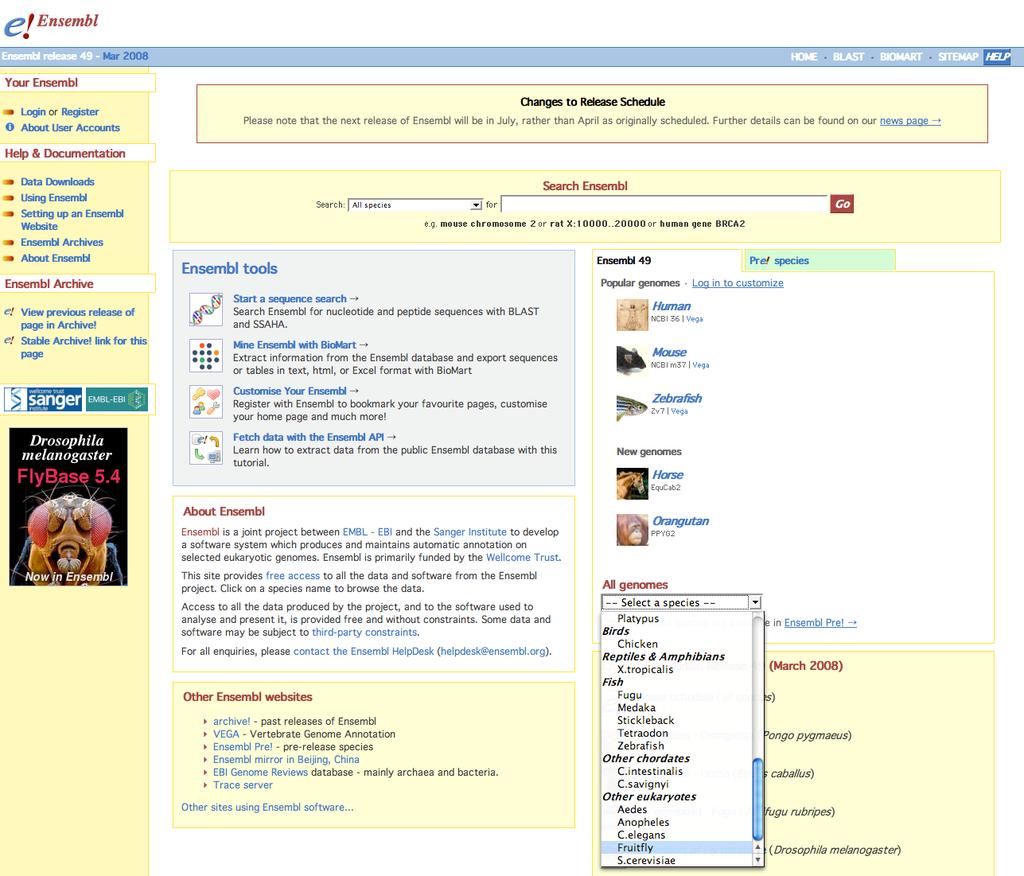 Figure 16. Access the Fruitfly database on the Ensembl Genome Browser at http://www.ensembl.