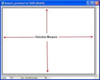 Figure 1-10: Selection marquee. 2. To deselect the image area, select Select > Deselect (Ctrl+D). You can also temporarily hide the line from view by pressing Ctrl+H.