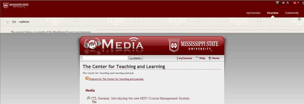 2. Click your new web link in the course menu to access the web site.