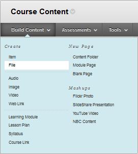 Adding Course Content You can add course content in numerous forms to mycourses.