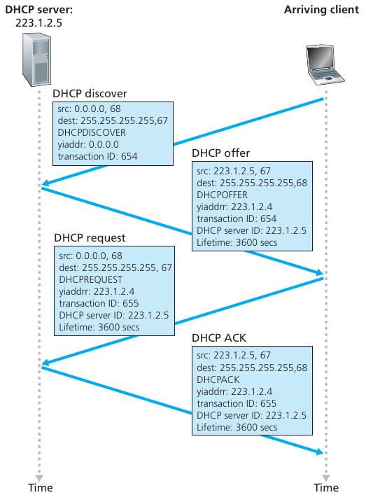 DHCP query