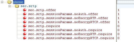 sec.srtp.sessionparams.noencryprtp.offer 1 0 or 1 0 If 0, encryption of RTP is offered.