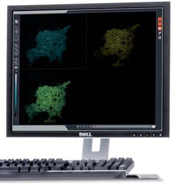 TIRF Objective High performance imaging through superb optics Reliable, exact results Leica s TIRF objective offers maximum apochromatic correction, an optimum signal-to-noise ratio and high