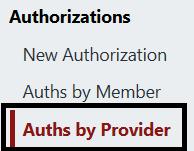 To view an Authorization by Provider, click the Auths by Provider option in the Navigator.