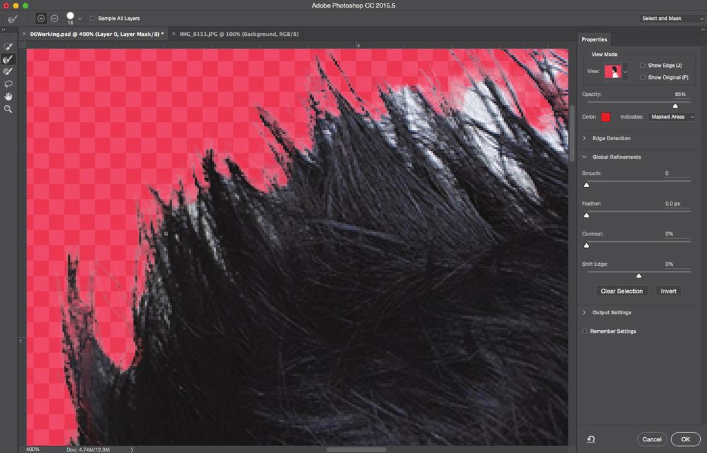 10 In the options bar, set up a Refine Edge brush with a size of 10 px, and leave the hardness at 100%.