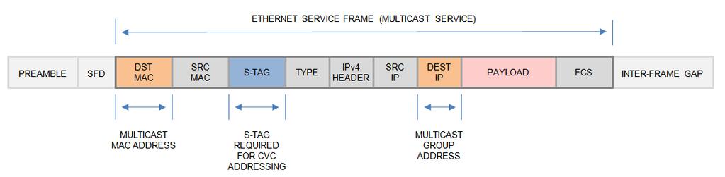 These services require the frame format shown in Figure 3 at the NNI: Figure 3: AVC/CVC Service Addressing Mode C Service Frame Format Figure 3 describes the frame structure for service frames