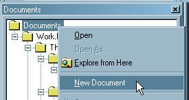 Task and Notes To create a new ODS document in this document store, highlight the word 'Documents' at the top of the Document window and select New Document