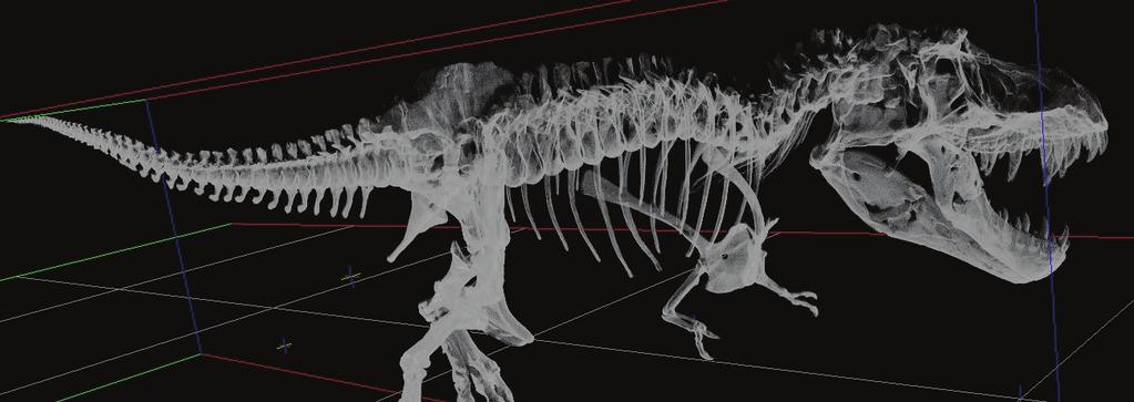 Introduction 3D laser scan of the Tyrannosaurus