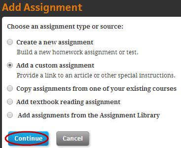 Result: Add Custom Assignment page displays.