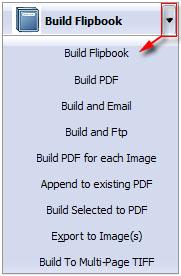 5. Output Choose output as "Build Flipbook" to enter into template setting interface: II.