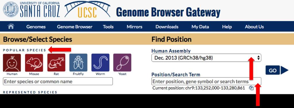 To change the species, select from the icons on the left, or search using the search box. You can also change the assembly. By default, the current assembly for any given genome is selected.