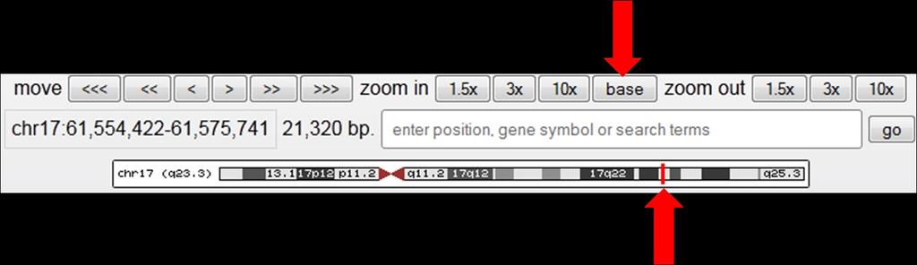 This search will use the example gene ACE - agiotensin converting enzyme. Type your search term into the search term box.