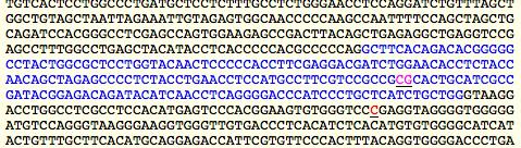 So my sequence is colored to show exons and SNPs To get genomic sequence, or mrna or protein sequences for the region you're viewing in FASTA format, go back to the ENCODE Comprehensive Transcript