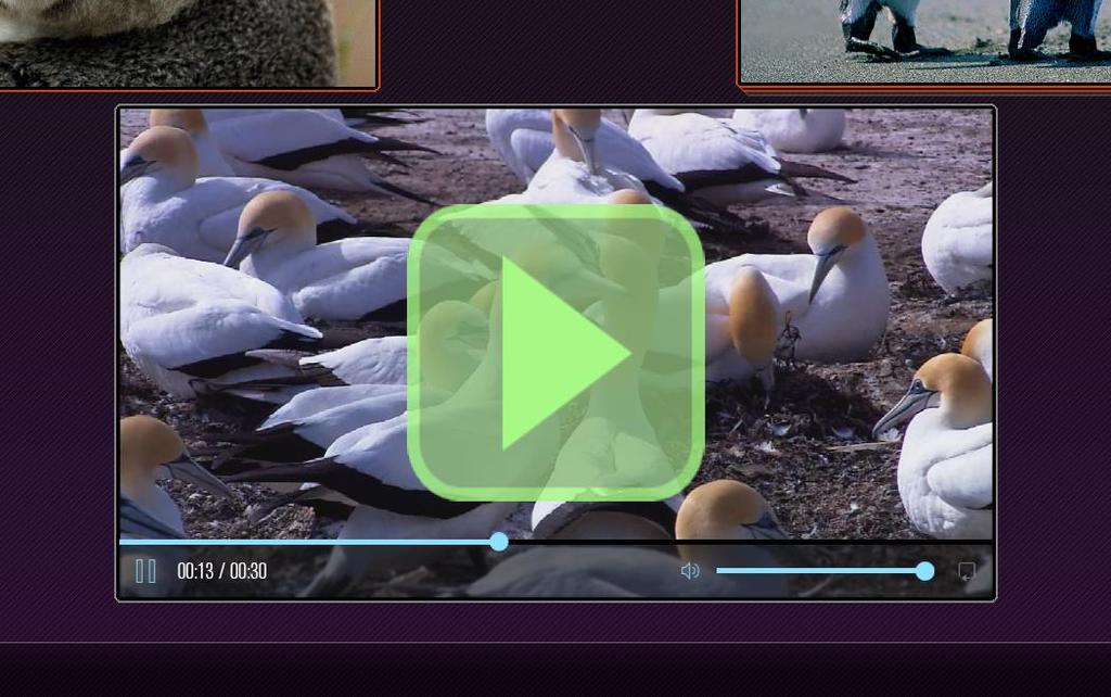 Users can control video(s) posted to the display with the Solstice video player.