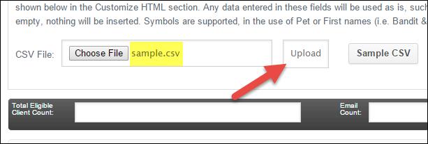 Once uploaded, a message will appear indicating the success of the upload. For generating a Newsletter, only ONE CSV file can be uploaded and used.
