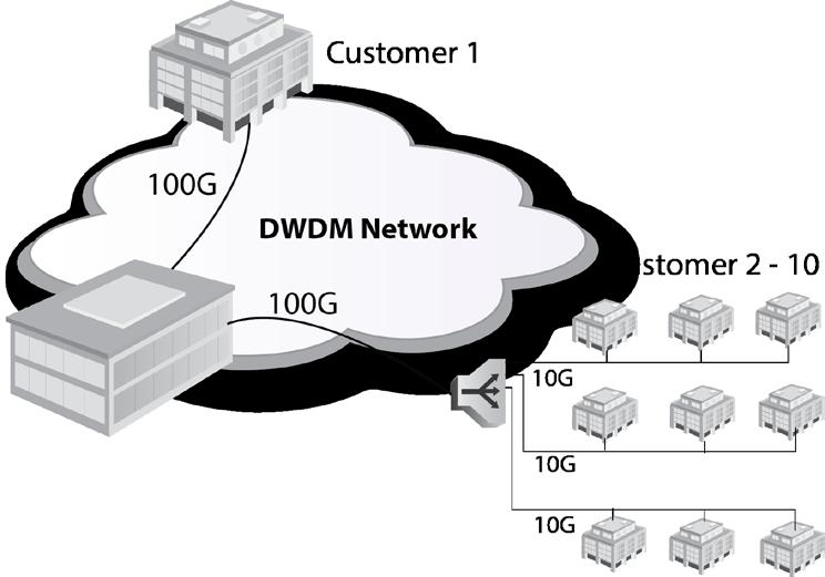 100G Access Problem: One customer needs 100G access to the data center or many customers from similar locations need 10G access to the data center.