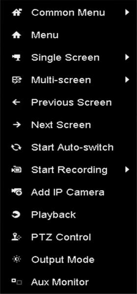 Name Start/Stop Auto-switch Start Recording Add IP Camera Playback Output Mode Description Enable/disable the auto-switch of the screens.