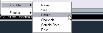 Bitsize (resolution): 8, 16, 24, 32 Channels: Mono, Stereo and from 3 to 16 Sample Rate: various values, choose Other for free setting Date: various search ranges 4.