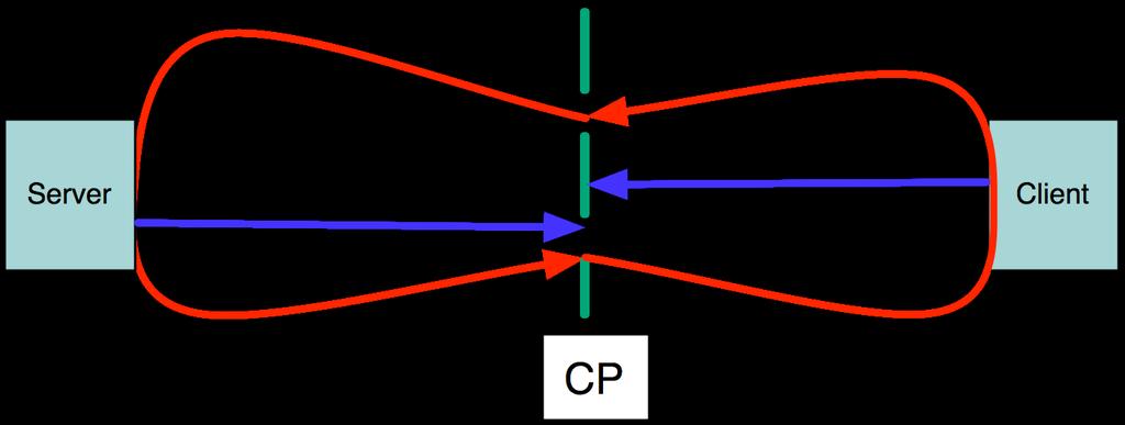 Diagram of Measurement Setup Delay is relative to the packet capture point (CP).