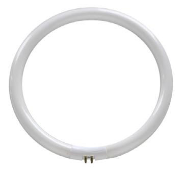 daylight bulb, ES 22W daylight circular tube 12W daylight circular tube For