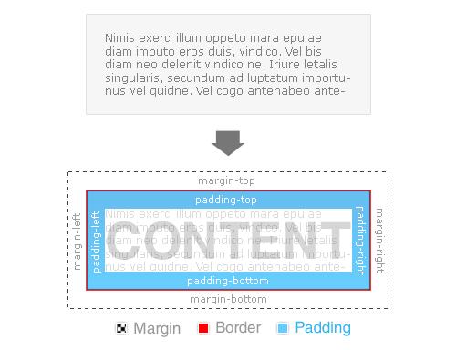 The Importance of the CSS Box Model Block Element, Border, Padding and Margin Margin is on the outside of block elements and padding is on the inside.