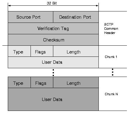 SCTP for Beginners Section 2 SCTP Packets he protocol data units (PDU) of SCTP are called SCTP packets.