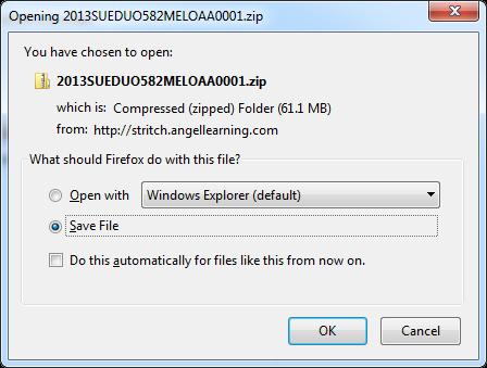 14. Within the download file window, leave the default option to Save File selected.