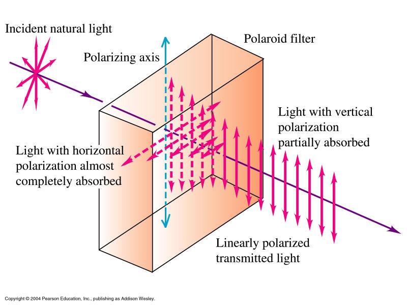 Polarizer Phys
