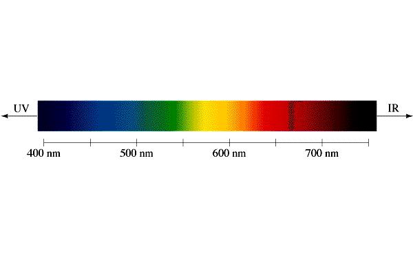 The Visible Spectrum Remember that white light contains all the colors of the s p e c t r u m each