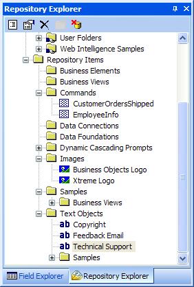 Lesson 12: The Repository The Repository Explorer adds a visual indicator to objects added to its folders.