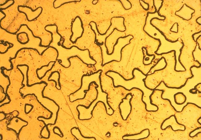 Microscopic Image of