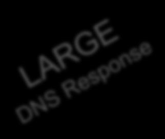 0.0.1 Targeted host IP: 10.0.0.1 DNS Query DNS Query DNS Query Open Recursor