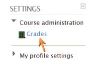 View Your Grades To view a grade for an assignment, click on the assignment on the course home page. Your grade will display along with any additional feedback from your instructor.