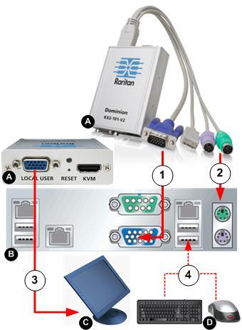 Chapter 2: Installation and Configuration 2. Connect the USB connector of the KVM cable to the KX II-101-V2 and to a USB port on the target server. 3.