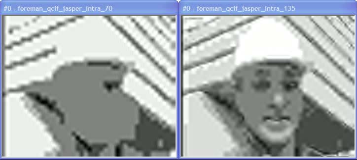 only with JPEG distorted images and the rest of the metrics with all Live2 database distorted images.