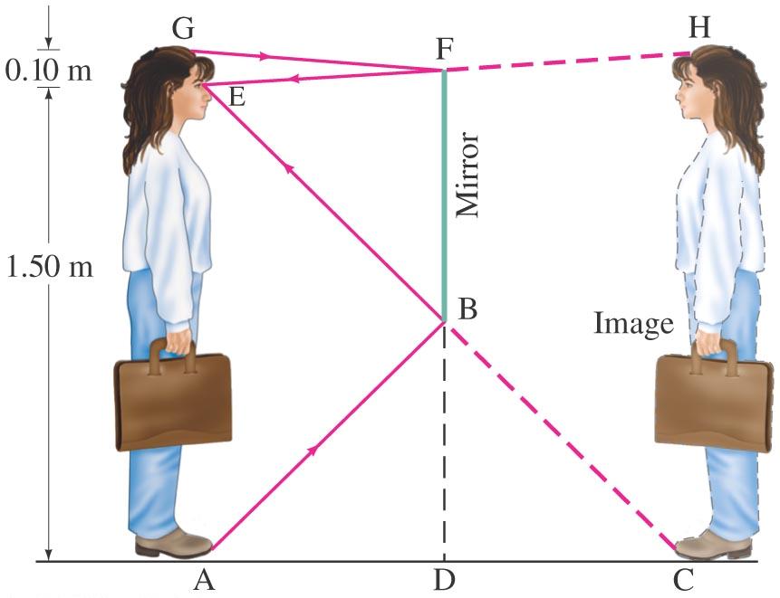 32-2 Reflection; Image Formation by Example 32-2: How tall must a full-length mirror be? A woman 1.60 m tall stands in front of a vertical plane mirror.