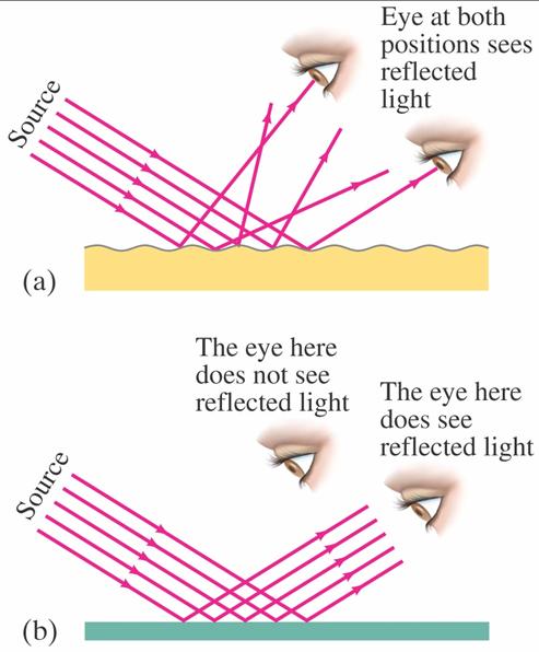 32-2 Reflection; Image Formation by a Plane Mirror With diffuse reflection, your eye sees reflected