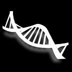 Genetic Algorithm OVERVIEW Initial population of solutions Evaluate fitness of each solution Kill least fit